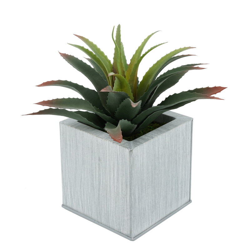 Plante grasse artificielle 7 po en pot, Ferme