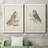 " Hawk Owl " 2 - Pieces-747655249-747655244
