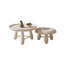Ensemble de tables basses élégantes en bois