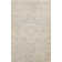 Dikili Oriental Indoor Rug