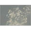 Swimming In Blue 2 Print by Thom Filicia