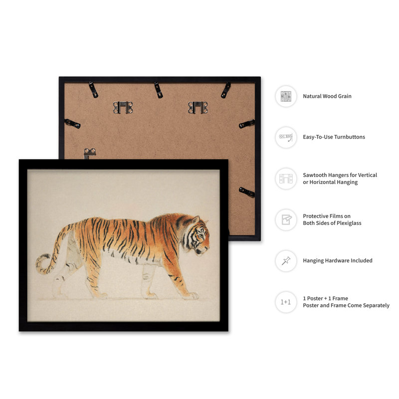 Thomas Stothard - Un tigre, Cadre noir, Affiche, H 12 po x l 16 po