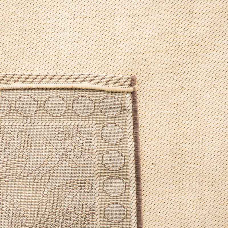 Tapis intérieur / extérieur brun / naturel Arneshia Southwestern, Rectangle 2 pi 7 po x 5 pi
