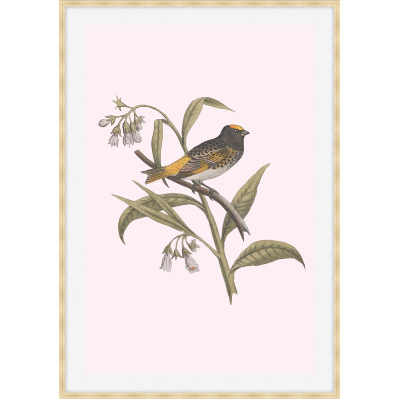 Nesting Navigators Pink 5 Print, 32.75" H x 23.75" W