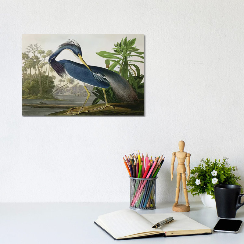 Louisiana Heron by John Audubon - Gallery-Wrapped Canvas Giclee on Canvas, 20.32 cm H x 30.48 cm W, No Frame