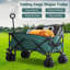 Natividad Cargo Wagon