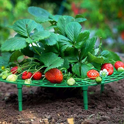 Support à plante Teasha