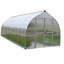 Bella Greenhouse-122074871