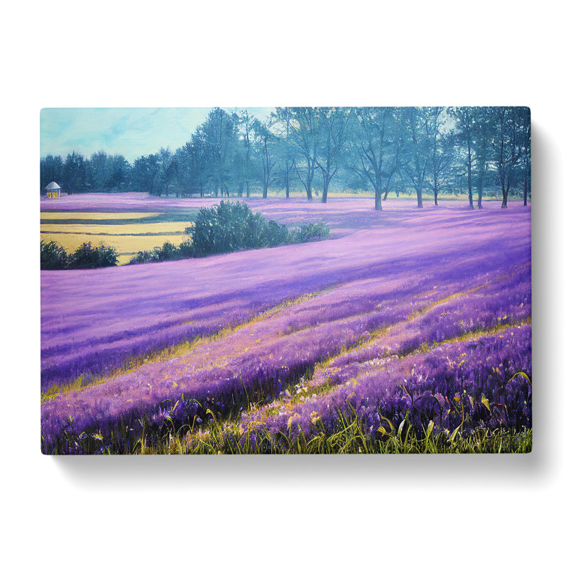 Boundless Bluebell Field - Wrapped Canvas Painting, 35cm H x 50cm W x 3cm D