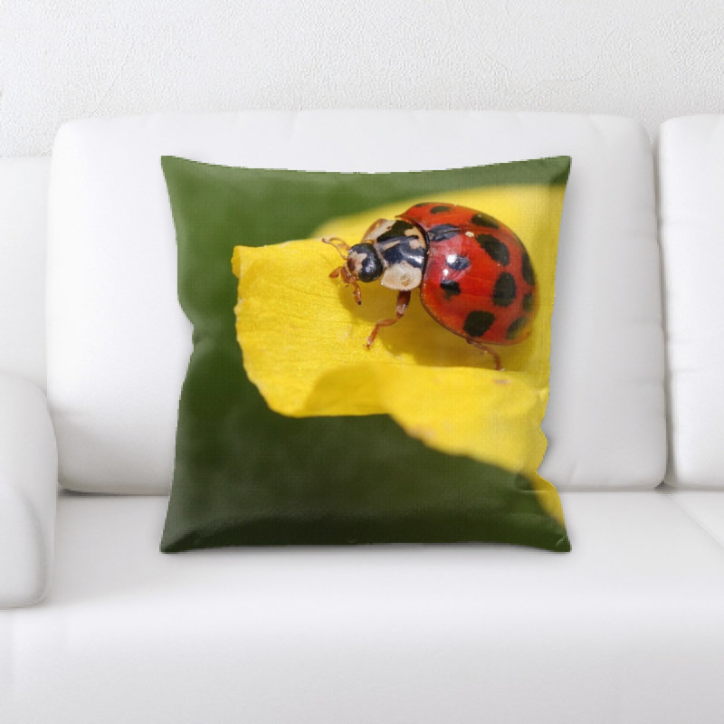 Coussin coccinelle