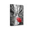 1 Piece Wrapped Canvas Wall Art