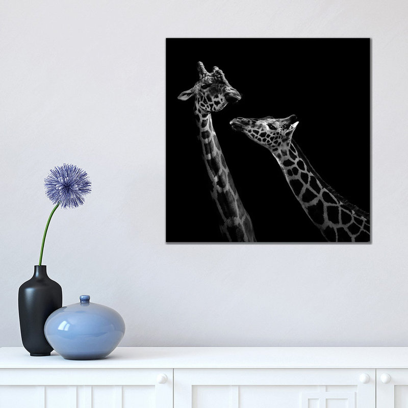 Two Giraffes In Black And White by Lukas Holas - Wrapped Canvas Print, 45.72 cm H x 45.72 cm W