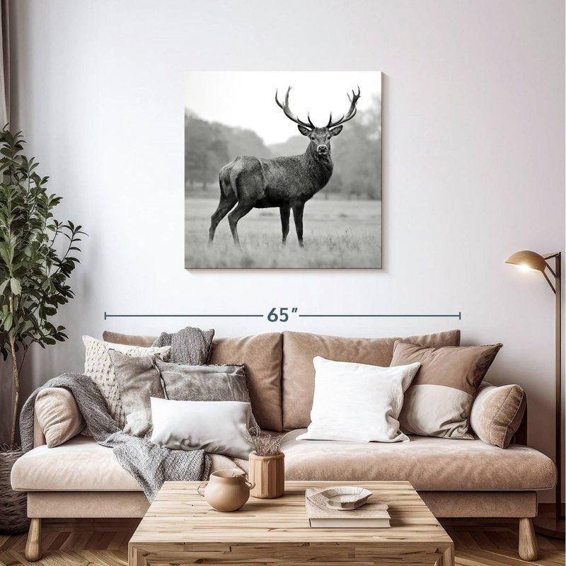 Brampt Proud Deer BW, 36" H x 36" W