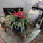 Photos des clients 4 de 4