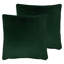 Evans Square Cushion-1515304061-1515304008