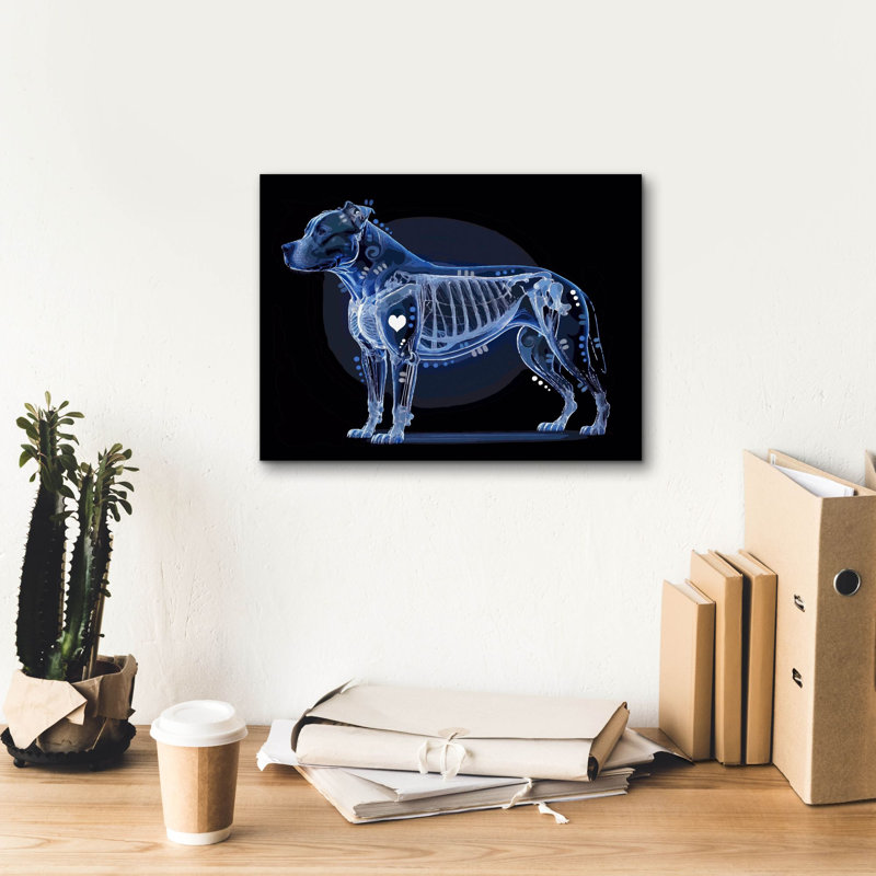  «Xray Pitbull» par Dean Russo, art mural sur toile, 16 po x 12 po, H 12 po x l 16 po