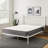 Metal Platform Bed Withheadboard