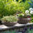 Concrete Bowl Planter, 23.3 Inch Dia x 8 Inch Height, Extra Large Succulent Pot with Drain Hole, 21-inch Opening Flowerpot for Herbs, Bonsai, and Shallow-root Plants, Concrete Planters for Indoor Outdoor Garden, Patio Decor, Large-Rust-1490271956-1490271957