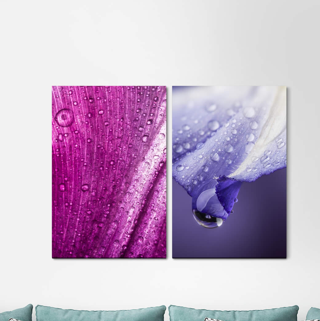 2-tlg. Leinwandbilder-Set - Fotografie „Orchid Water Drops Pink Blossom Summer Drops Flowers”