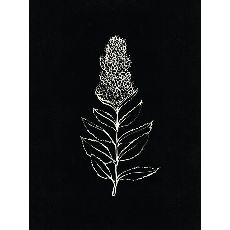 Silhouette botanique noire et blanche I - peinture sur toile tendue, H 36 po x l 24 po