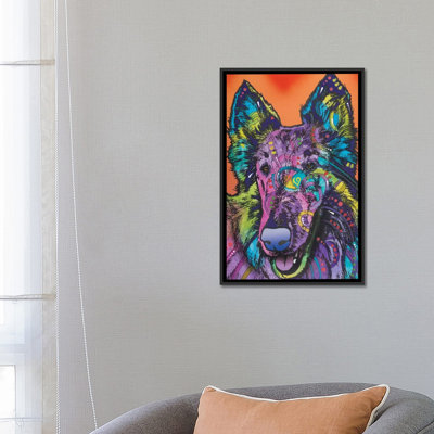 " Ava, Collie " by Dean Russo