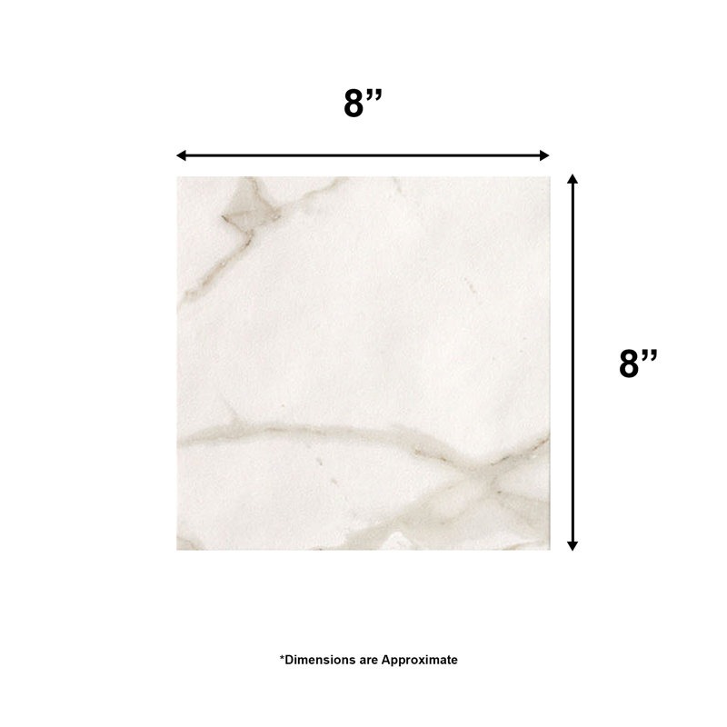 Carreau en porcelaine mate Calacatta de 8 po x 8 po Roma