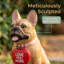 Statue solaire de bouledogue français