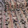 Tapis Gosnold Clemson Mori
