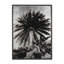 Venice Palm Trees Silver Leaf Print