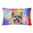 Other/No Pattern Outdoor Throw Pillow