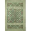 Green Checkered Patterned Decorative Rug-530111300