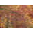 All-Over Abstract Oriental Rug 4x6