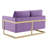 Bellago 55" Pre-Assembled Upholstered Velvet Loveseat with Modern Gold Frame-1896464559