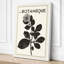 Study Botanical - Wrapped Canvas-1999594786-1999594777