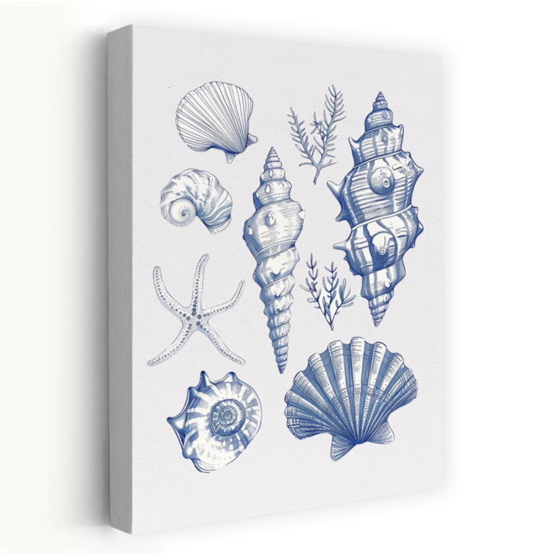 Dash - coquille de coquillage, coquillages côtiers et corail, art nautique Rétro, H 36 po x l 24 po
