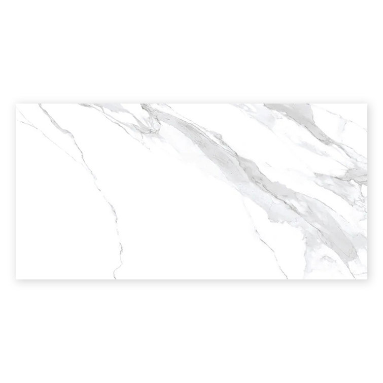 Veneto 23.6 In. X 47.2 In. Polished Porcelain Rectangle Wall And Floor Tile (15.5 Sq Ft/Case) - 2 Sheets