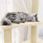 Ruislip 155cm H Cat Tree-1482694963
