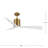 Paso 60'' Ceiling Fan-94228871-94228872