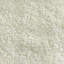 Sherpa Teddy | Kova Fabric-1253050764
