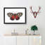Icarus Moth by George Shaw - Picture Frame Painting Print-55579154-55579155