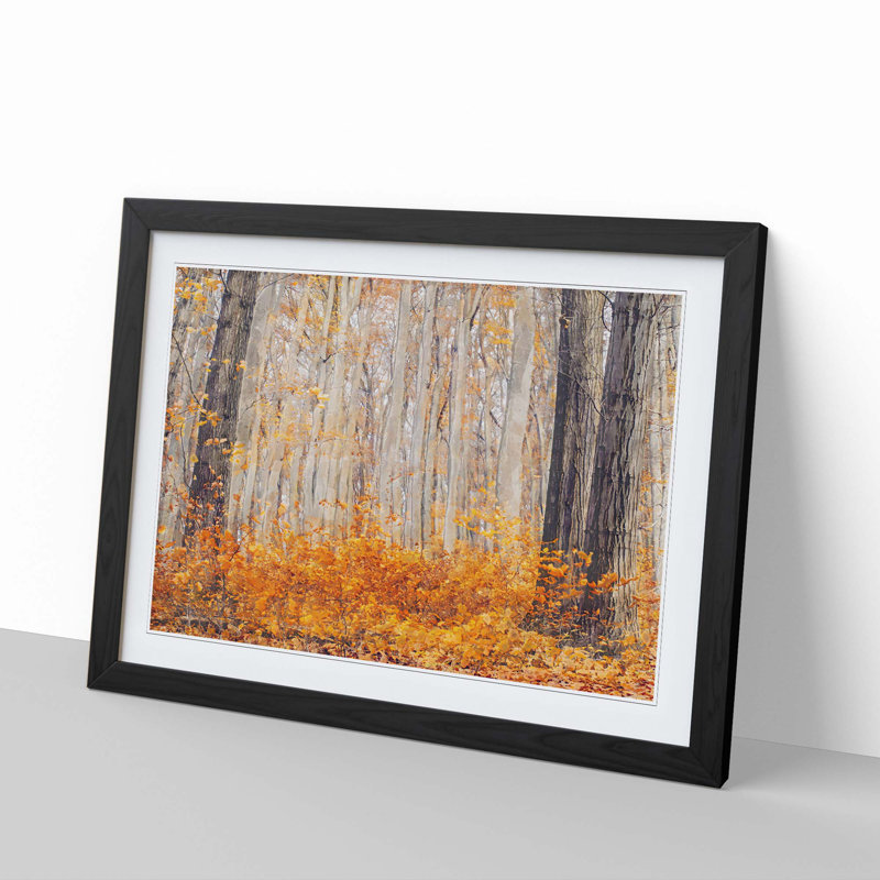 Orange Forest - Framed Print, 62cm H x 87cm W x 2cm D, Black Framed