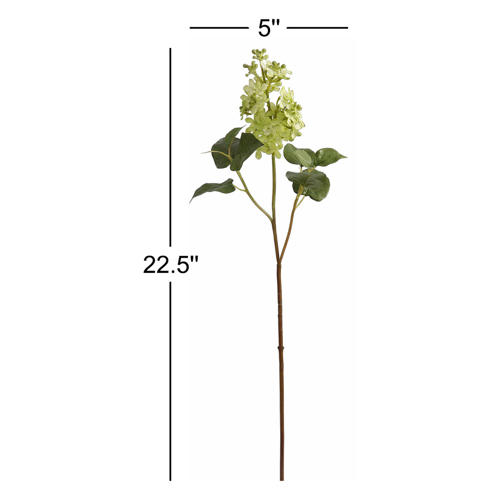 Lilac Floral Stems