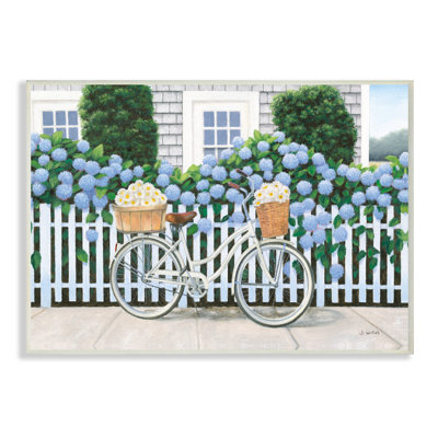 " Cape Cod Daisy Bike "