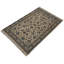 Plamedi Oriental Area Rug in Beige