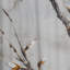 Minimalisme blanc et gris Cherry Blossom - Rideau floral obscurcissant Cherry Blossom - 1 panneau-107827154