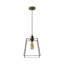 Alexeah 1 - Light Brushed Brass Pendant