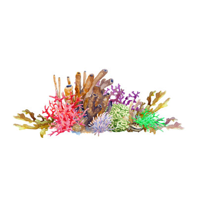 Reef with Colorful Corals 1 Piece Wrapped Canvas Painting