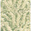 Anthology Floral Wallpaper Roll-29098820