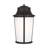 Portola Extra Large Lantern from Generation Lighting -116119599-116119602