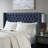 Queen Size Upholstered Headboard With Transitional Button Tufting, Double Nailhead Trim, Navy, Adjustable Black Metal Legs, Fabric Composition: 100% For Queen, Decor, Navy , Leg Material-398982195